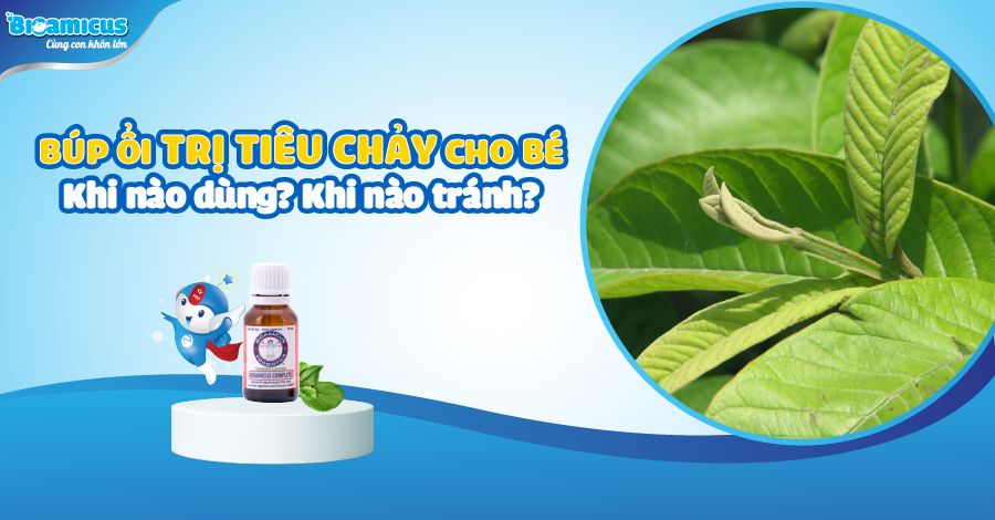 búp ổi trị tiêu chảy cho bé